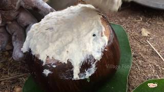 Chicken Recipe Borassus Flabellifer  Plam Fruit  thati munja  Village Foodie [upl. by Nemrac421]