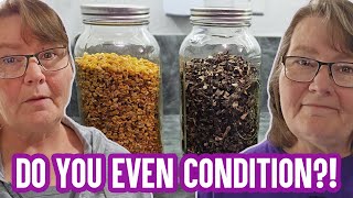 Answering All of Your Questions About Conditioning Dehydrating Food [upl. by Antsirhc]