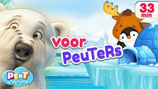 Wie Zit Daar Verstopt Dieren in de Dierentuin In de Sneeuw en Op de Boerderij  Pretlettertjes [upl. by Ahsilrae]