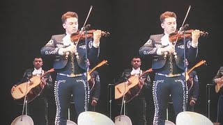 Ariel Pérez  Rondinellas 🔥🎻 [upl. by Nedaj29]