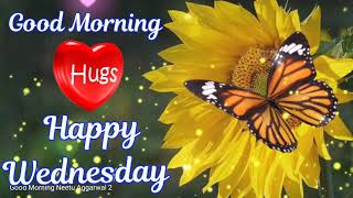 Happy Wednesday WishesHappy Wednesday Whatsapp Status VideoHappy Wednesday GifsHappy Wednesday [upl. by Sitoiganap]