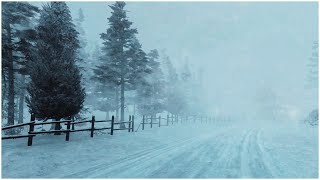 Intense Blizzard in the Mountains┇Heavy Wind Sounds for Sleeping┇Howling Wind amp Blowing Snow [upl. by Enayd]