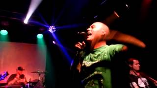 Tenafly Viper Reno Live at the Foundry 82412 [upl. by Ameerak]