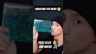 frog eggs with water 💦 🥱🥚asmr amsrtriggers subscribe asmrsounds asmr yt 1 adaptivetriggers [upl. by Sandell]