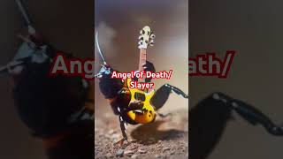 Angel of Death Bugs version… [upl. by Ettevroc]