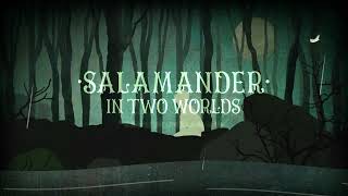 Sleepytime Gorilla Museum  Salamander in Two Worlds Official Music Video  Strobe Warning [upl. by Duahsar908]