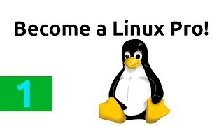 How to learn to use the Linux command line for basic commands for the first time  Tutorial  Part 1 [upl. by Judah]