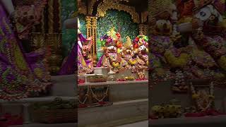 Kirtan mela mayapuryoutubeshorts videoshort love ytshorts karunamay [upl. by Sirehc]