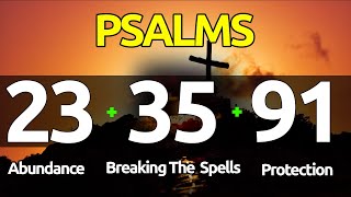 Psalms 233591 THE ESSENTIAL PSALMS FOR ABUNDANCE BREAKING SPELLS AND PROTECTION [upl. by Schargel]