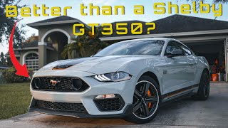 Why I Chose a Mustang Mach 1 over The Shelby GT350 [upl. by Mordy]