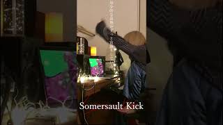 Somersault Kick 長嶋水徳 オリジナル曲 作詞作曲 dtm music shorts [upl. by Nivloc598]