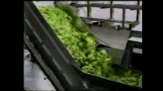 Nilma Atirmatic  continuous vegetable washer [upl. by Ode]