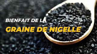 Les bienfaits de la graine de nigelle [upl. by Wassyngton]