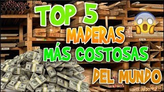 top 5 maderas mas caras del mundo [upl. by Ocirne]