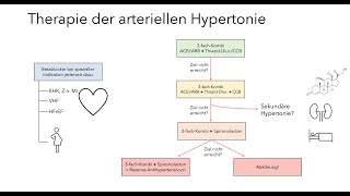 Karolyi amp Kuran wiederholt Basics 2 arterielle Hypertonie Teil 2 [upl. by Ainirtak]