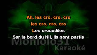 Julien Doré  Ah les crocodiles Dévocalisé Karaoké [upl. by Edelstein]