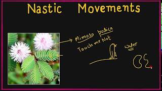 NASTIC MOVEMENTS  Control amp Coordination in Plants  Class10 Biology [upl. by Carr]