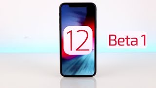 iOS 12 Beta 1 Review [upl. by Borg]