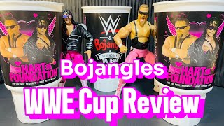 Bojangles Limited Edition Collectors Cup the Hart Foundation WWE wrestling cup [upl. by Amaso]