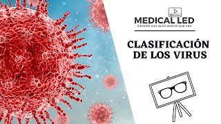 CLASIFICACIÓN DE LOS VIRUS Estructura y tipo de genoma [upl. by Ojoj]