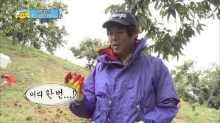 형동생 없는 치열한 밤 따기 현장 10 일밤 20131027 [upl. by Esserac]