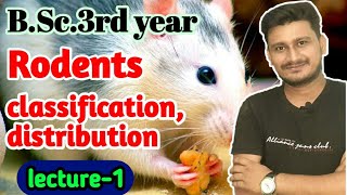 Rodents  General character classification and distribution of Rodents [upl. by Einahc507]