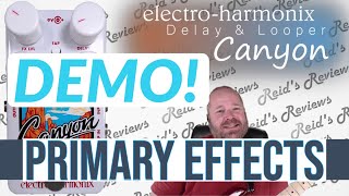 Primary Effects DEMO  ElectroHarmonix CANYON Delay amp Looper Guitar Pedal Review Reids Reviews [upl. by Jandel994]