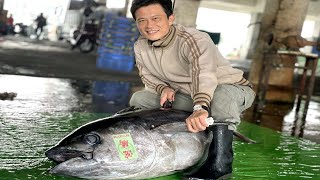 Bigeye Tuna Cutting Skill  大目鮪魚切割技能  How to Cut a Bigeye Tuna for Sashimi [upl. by Klusek]