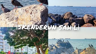 İSKENDERUN VLOG  İSKENDERUN SAHİLİ [upl. by Quent]