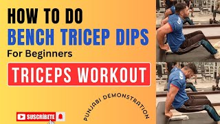 Bench triceps Dips  How to do Triceps Dips for beginners  Triceps Workout  tricep Dips Form gym [upl. by Arak]