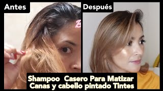 SHAMPOO MATIZADOR CASERO para canas y Tintesrecupera tu color de tinte cabellodañado cabelloseco [upl. by Milas35]