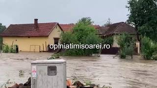 Inundatii puternice in Timis [upl. by Esina]