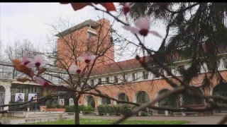 Visite du CAVILAM  Alliance française [upl. by Attaynek]