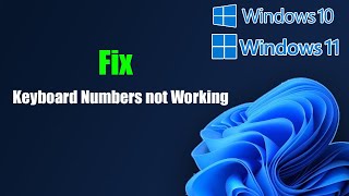 Fix Keyboard Numbers not Working Windows 1110 [upl. by Sorkin]