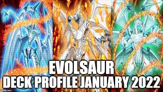 EVOLSAUR DECK PROFILE JANUARY 2022 YUGIOH [upl. by Idonna]