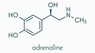 Monoamine hypothesis of depression [upl. by Imij]