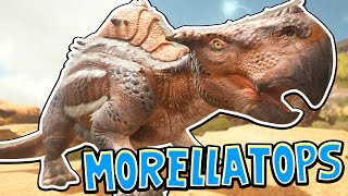 Ark Scorched Earth  TAMING A MORELLATOPS 3 Scorched Earth Gameplay [upl. by Harp]