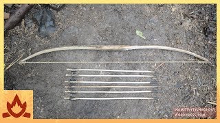 Primitive Technology Bow and Arrow [upl. by Nnalyrehc]