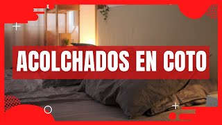 💥 COTO ACOLCHADOS ✅ MEJOR PRECIO 🔥 【 ACOLCHADOS EN COTO 】 [upl. by Gayn]