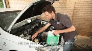 How to Check your Cars Coolant Level [upl. by Linad]