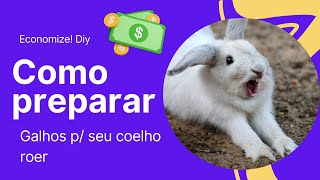 Economize com Brinquedos Naturais Como Preparar Galhos Seguros para seu Coelho Roer [upl. by Ayotan]