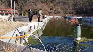 Treatment of wastewater using seaweed [upl. by Hirasuna608]