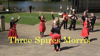 Three Spires Morris dance quotMiner Islandquot at St Georges Day of Dance at Walsall Arboretum [upl. by Drye896]