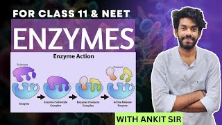 BIOMOLECULES  ENZYMES  CLASS 11  BIOLOGY  rvf neet biology [upl. by Dirgis522]