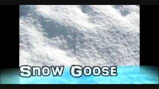 ♪Snow Goose 高音質 [upl. by Ater624]