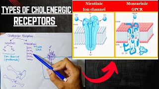 Cholenergic Receptors  Cholenergic System  ANS Pharmacology [upl. by Sill]