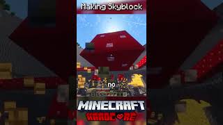 I Made Skyblock in Minecraft Hardcore 16 [upl. by Grieve477]