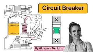 Circuit Breaker Explained  Working Principle [upl. by Thisbee]