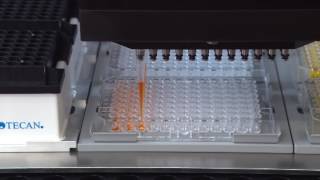 An MCA 96 is pipetting with a column of eight DiTis [upl. by Anileh]