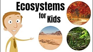 Ecosystems for Kids [upl. by Russell440]